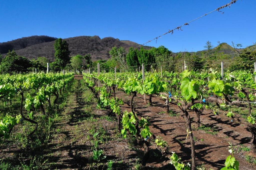 Finca Cielo Verde Chicoana Esterno foto