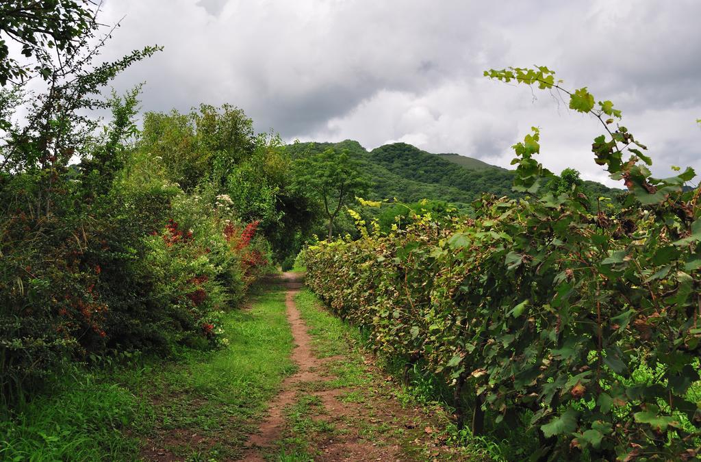 Finca Cielo Verde Chicoana Esterno foto