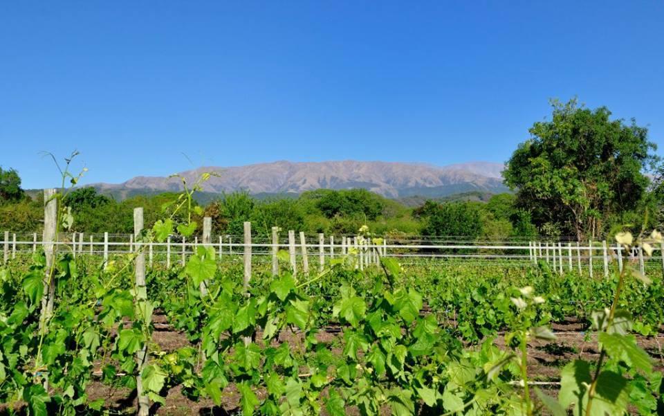 Finca Cielo Verde Chicoana Esterno foto